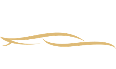 Ace Transfers Logo
